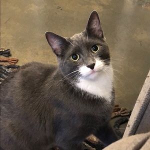 Meet your Posher, Alyson